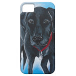 Black Lab iPhone 5 Cover