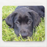 Black Lab mousepad