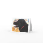 Black Lab Portrait - Ranch Dog Lover - Blank Greeting Cards