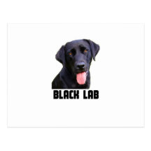 Black Lab Postcards