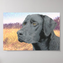 Black Lab Print