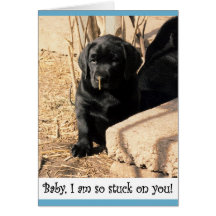 Black lab puppy cards