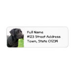 Black Lab Return Address Label