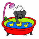 Black Lab & Rubber Ducks Cartoon photo sculptures
