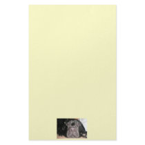 Black Lab Stationary Stationery