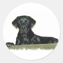 Black Lab Stickers