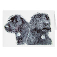 Black Labradoodles Notecard