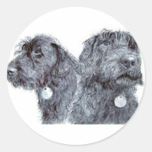 Black Labradoodles Round Stickers