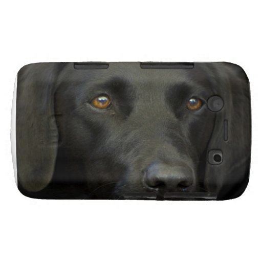 Black Labrador Dog Blackberry Cases