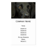 Black Labrador Dog Business Card