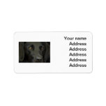 Black Labrador Dog Personalized Address Labels