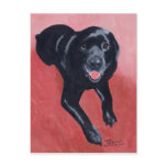 Black Labrador Painting 1 Post Cards