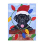 Black Labrador Puppy Christmas