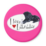 Black Labrador Puppy magnets