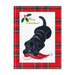 Black Labrador Puppy & Santa Hat Christmas