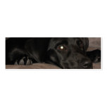 Black Labrador Retriever Bookmark Business Card