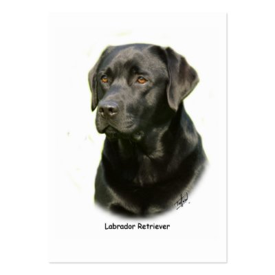 Black Labrador Retriever Business Card Templates by TraffordPhotos
