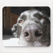 Black Labrador Retriever Mouse Mat