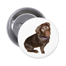 Black Labrador Retriever Pinback Buttons