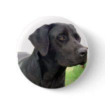 Black Labrador Retriever Round Button