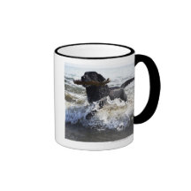 Black Labrador retriever running through surf, Mug