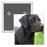 Black Labrador Retriever Square Pin