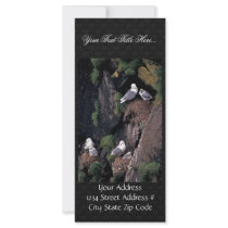 Black-legged kittiwakes on Hall Island Personalized Rack Card