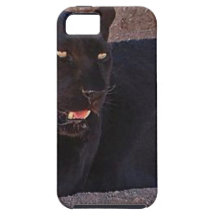 BLACK LEOPARD iPhone 5 CASES