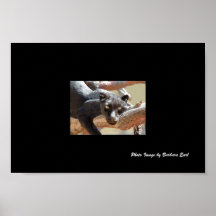 Black Leopard Posters