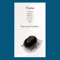 Black Minute Hooded Beetle business cards