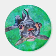 Black Moor Goldfish Magnets