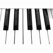 Black n White Piano Keyboard Key Picture Image Photo Cut Out