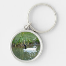 Black Necked Swan Key Chain