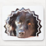 Black Newfoundland Dog Mouse Pad