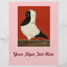 Black Nun Pigeon Flyer Design