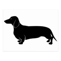 Black on White Dachsund Post Cards