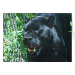 Black Panther Cat  Greeting Card
