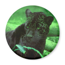 Black Panther Jaquar on Green Magnets