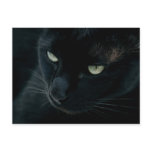 Black panther - Postcard