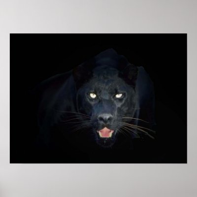 Black panther poster by design_girl