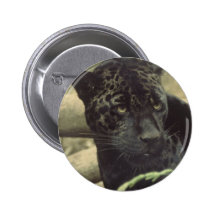 Black Panther Round Button