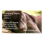 Black Panther Sleeping Business Card