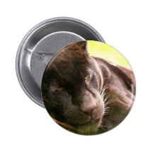 Black Panther Sleeping Button