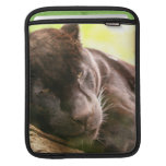 Black Panther Sleeping IPad Sleeve
