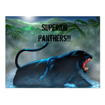 black-panther, Superior Panthers!!! Postcard