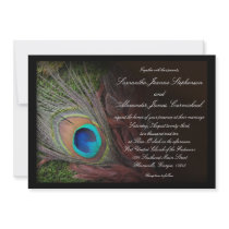 Black Peacock Feather w/Moss Wedding Invitations