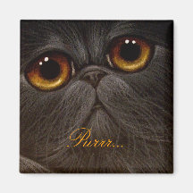 BLACK PERSIAN CAT Magnet