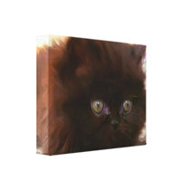 Black persian kitten stretched canvas print