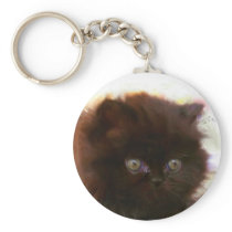 Black Persian Kitten keychain