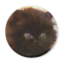 Black Persian Kitten magnet